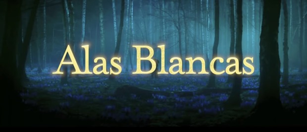 'Alas Blancas' de Marc Forster. Trailer.
