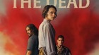 We-bury-the-dead-c_s
