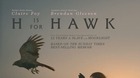 'H is for Hawk' de Philippa Lowthorpe. Tráiler. H-is-for-hawk-c_s
