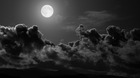 Buenas-noches-a-todos-la-revolucion-queda-para-otro-dia-c_s