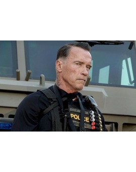 ARNOLD SCHWARZENEGGER: "YA NO SOY UN HÉROE DE ACCIÓN, PERO SIGO ADORANDO ESTE GÉNERO"