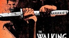 The-walking-dead-c_s