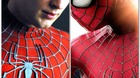 Emblema-de-spider-man-raimi-vs-nuevo-c_s