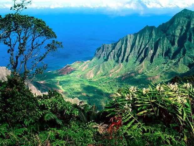 TODOS A RODAR A HAWAII: 'JURASSIC PARK IV', 'PIRATAS DEL CARIBE 5', 'GODZILLA', 'DEEP TIKI'...