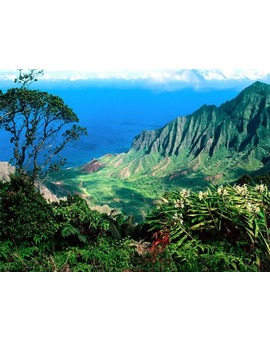 TODOS A RODAR A HAWAII: 'JURASSIC PARK IV', 'PIRATAS DEL CARIBE 5', 'GODZILLA', 'DEEP TIKI'...