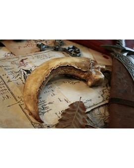 GARRA (ESPOLÓN) DEL DRAGÓN SMAUG DE 'EL HOBBIT'