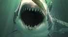 Despues-de-sharknado-llega-ghost-shark-trailer-pero-que-le-pasa-a-esta-gente-con-los-tiburones-c_s