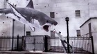 El-fenomeno-sharknado-nos-llega-en-septiembre-c_s