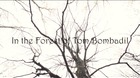 In-the-forest-of-tom-bombadil-fanfilm-curioso-curioso-c_s