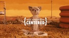 La-simetria-de-wes-anderson-c_s