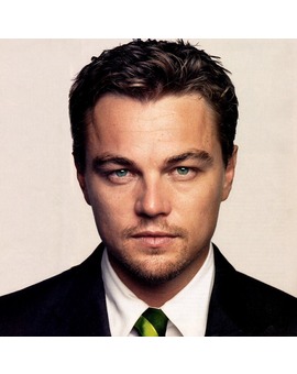 'THE REVENANT'. LEONARDO DICAPRIO A LAS ÓRDENES DE ALEJANDRO GONZÁLEZ IÑÁRRITU