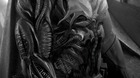Affleck-batman-alien-de-fernando-peniche-c_s