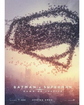 Bonito fanpóster de 'BATMAN VS SUPERMAN'