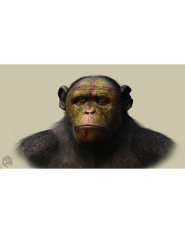 'AMANECER DEL PLANETA DE LOS SIMIOS' Concept art. 8
