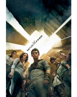 THE MAZE RUNNER. Póster
