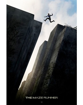 THE MAZE RUNNER. Póster