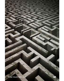 THE MAZE RUNNER. Póster