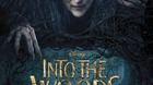 Into-the-woods-poster-c_s