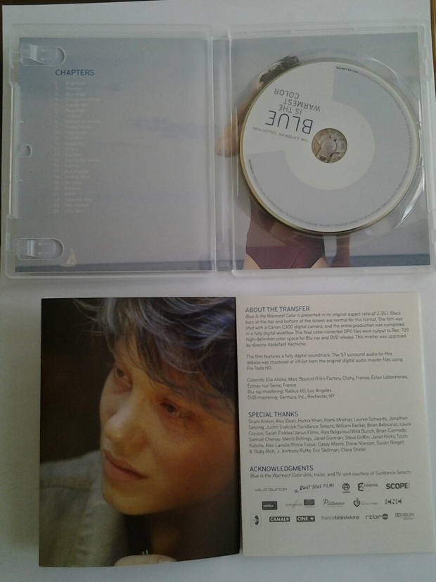 criterion blue is the warmest color 3