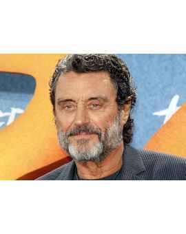Fans de Neil Gaiman. Ian mcshane será Miercoles en American Gods