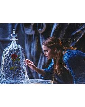 Nueva imagen de La bella y la bestia