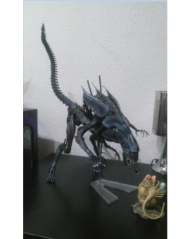 Mi coleccion Alien 1/3