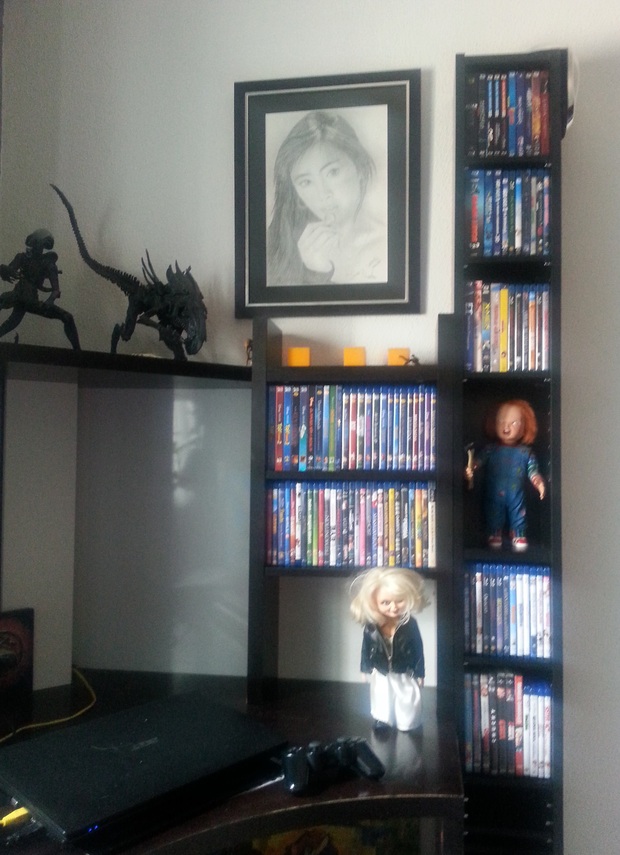 Mi nueva estanteria con mi colección