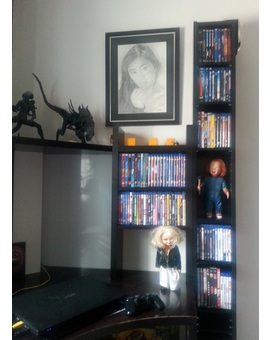 Mi nueva estanteria con mi colección