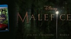 Maleficent_titlebanner-c_s