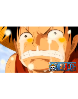 Adaptacion One Piece Live action