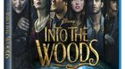Portada-de-into-the-woods-c_s