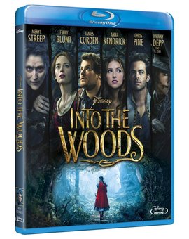 Portada de Into the Woods