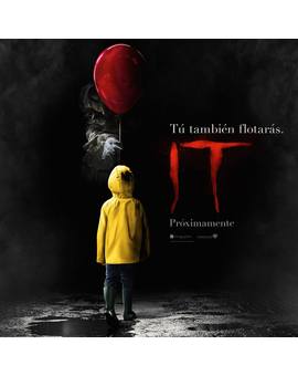 Primer poster de IT.