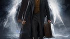 Poster-en-castellano-de-los-crimenes-de-grindelwall-c_s