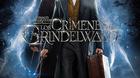 Posible-portada-de-los-crimenes-de-grindelwald-c_s