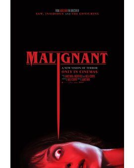Poster y trailer de Maligno.