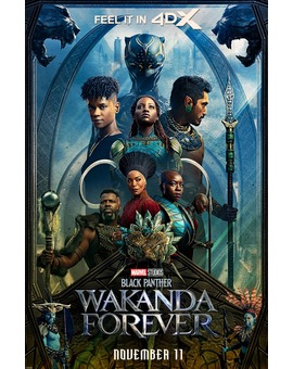 Black Panther: Wakanda forever Poster 4DX