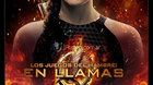 Poster-final-de-en-llamas-c_s