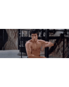 ¿ Cual es vuestro actor de artes marciales favorito?