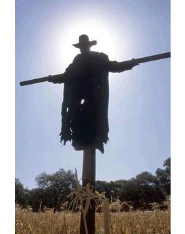 ¿que opinais de Jeepers Creepers?