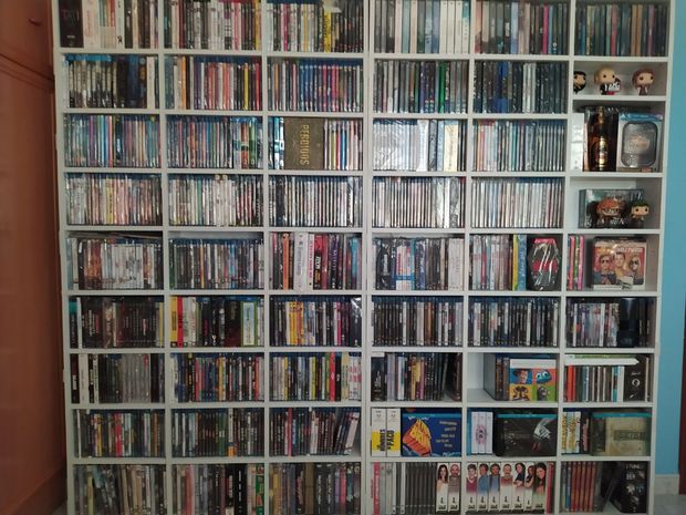 Colección acualizada. Reorganizando...