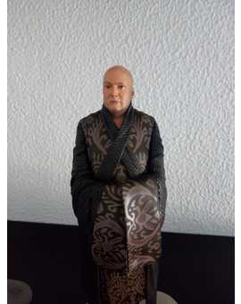 Figura VARYS