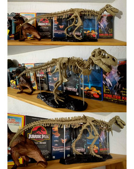 Decoración de estanterías (low cost)