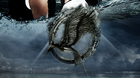 Catching-fire-c_s