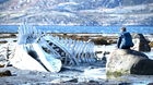 Leviathan-alguien-la-ha-visto-que-tal-esta-c_s