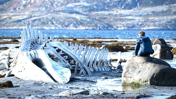 LEVIATHAN. ¿Alguien la ha visto? ¿Que tal está?