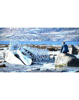 LEVIATHAN. ¿Alguien la ha visto? ¿Que tal está?