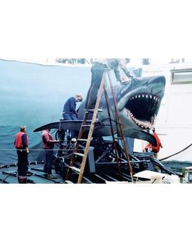Preparando a "Bruce" para rodar.