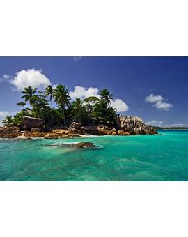 Juego: ¿Que dos ediciones de BR os llevarias a una isla desierta?