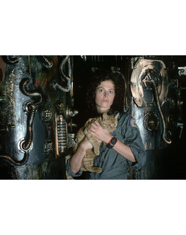 Desde la nave NOSTROMO, esperaremos a tu vuelta, HAWKS. Un saludo.